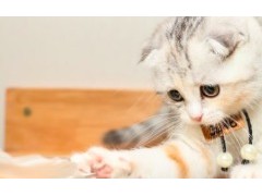 (<span class=