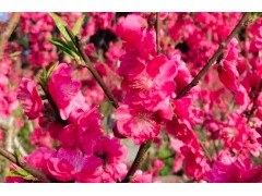 (旺家居风水<span class=
