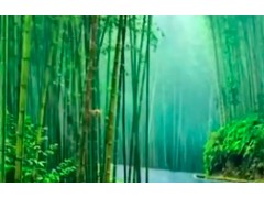 (哈尔滨十大最美日出观赏地盘点)哈尔滨<span class=
